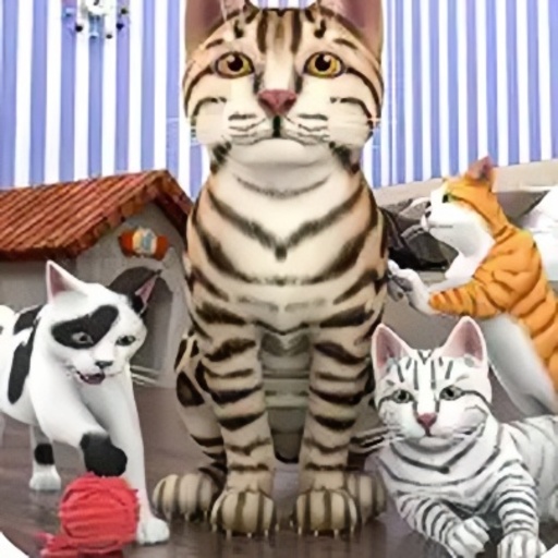 怀孕的小猫3