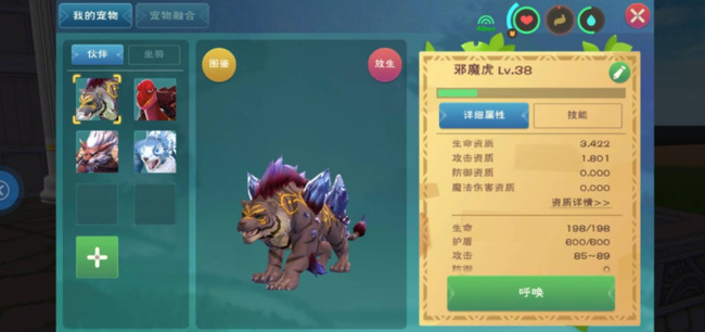 创造与魔法邪晶虎极品资质是多少 邪晶虎如何获取